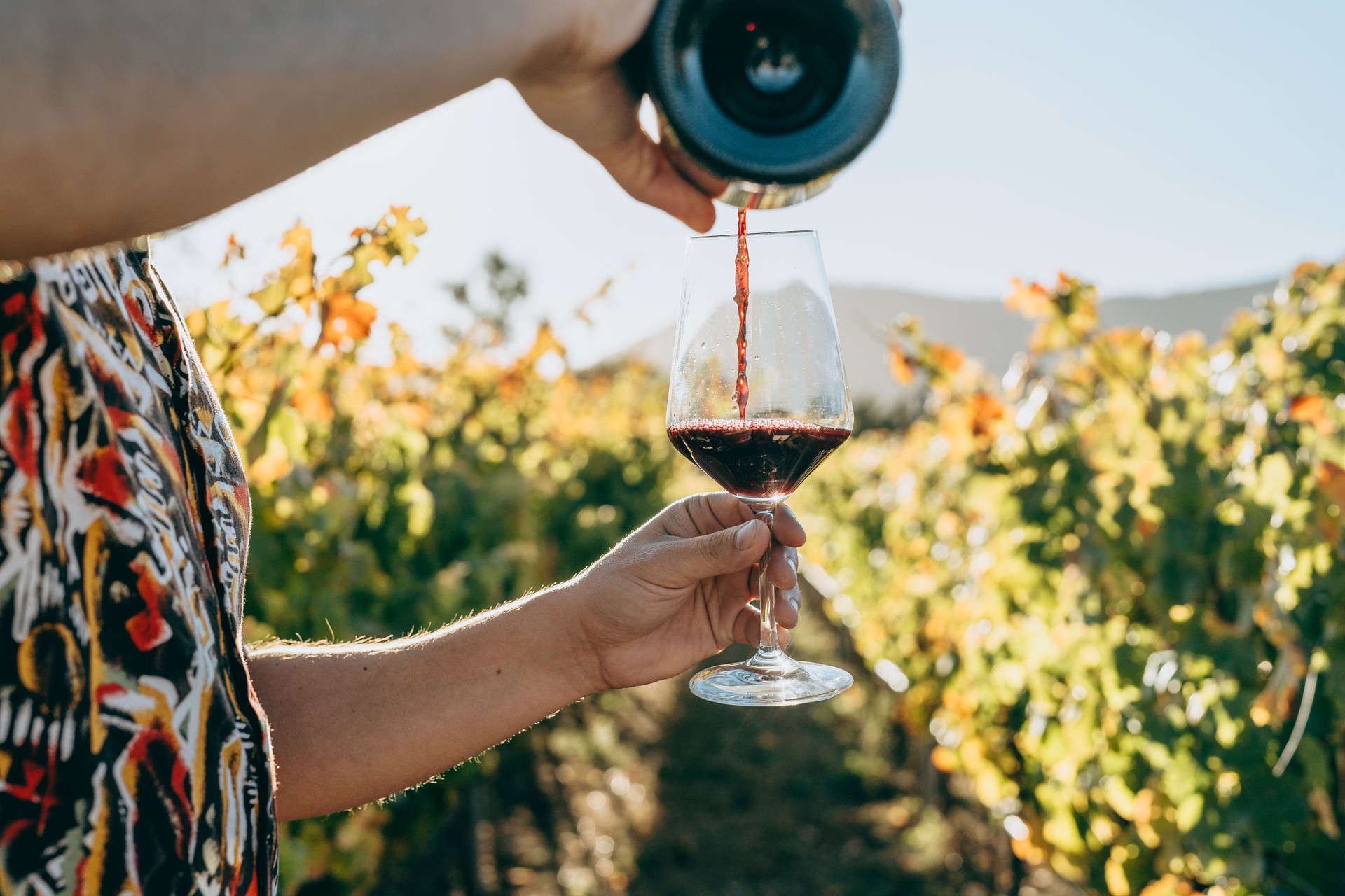 Man pouring wine in the vineyard