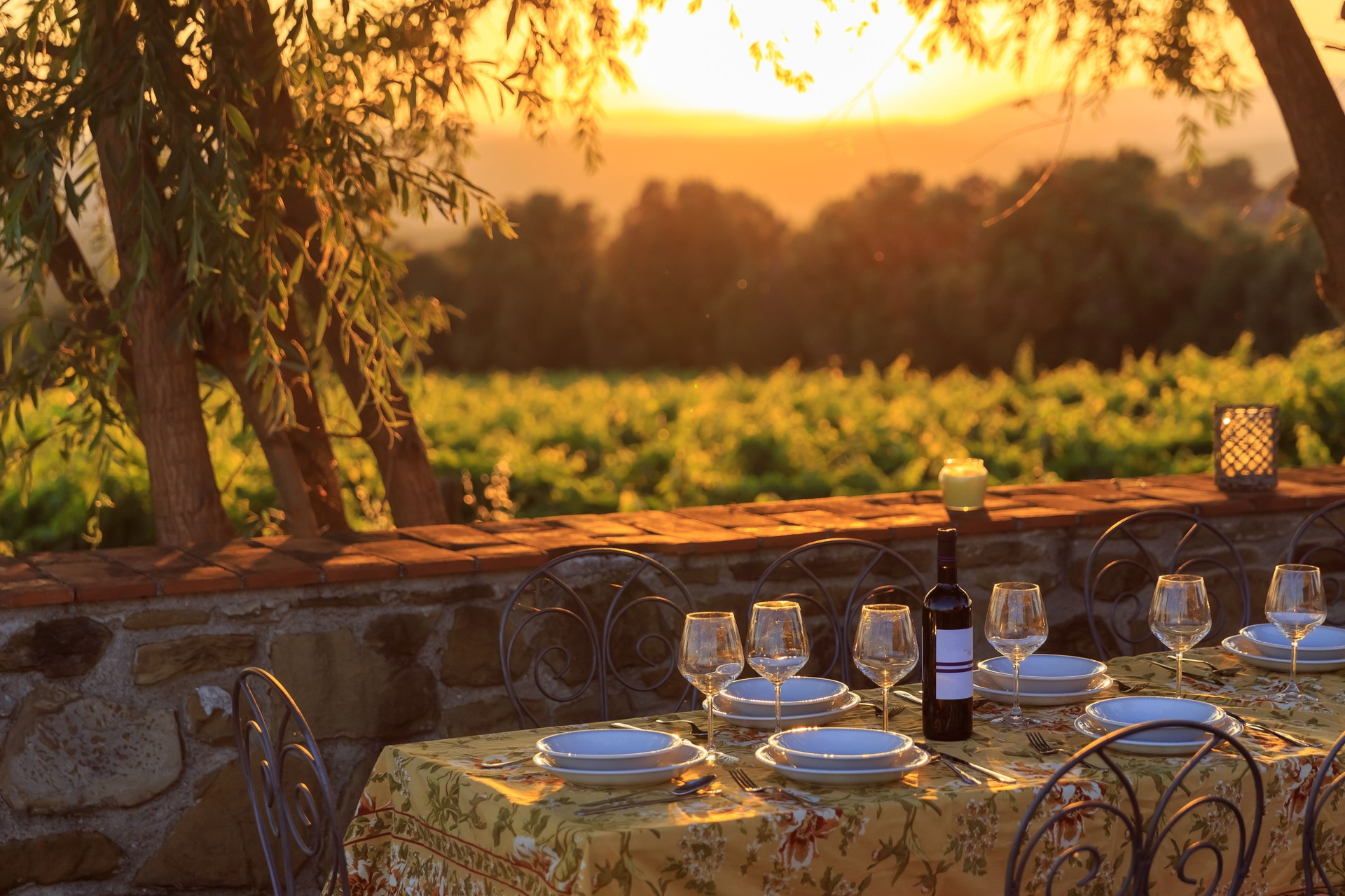 Langhe table vineyards